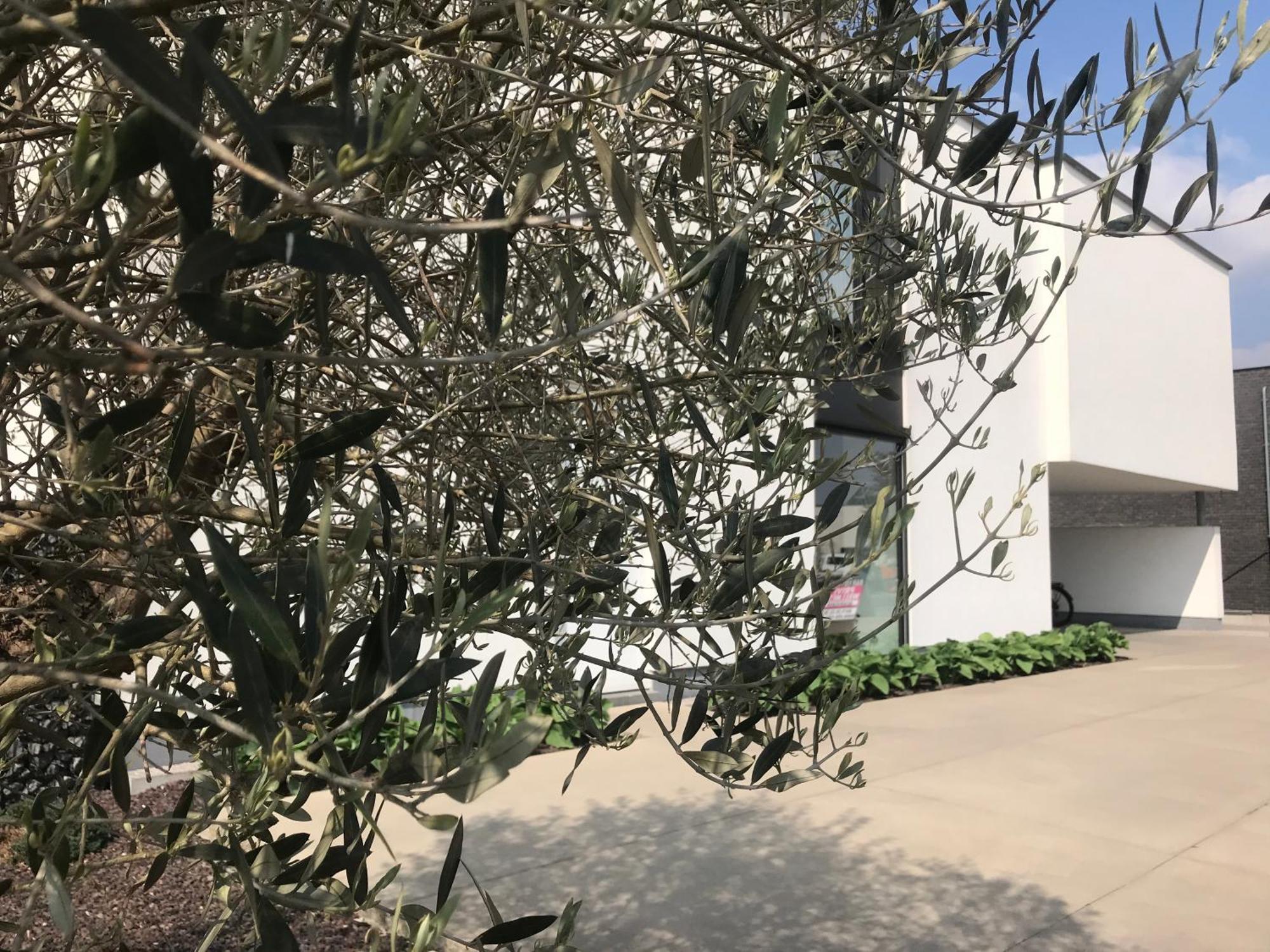 Vita Roka Met Extra Luxe Prive Wellness 于瑟尔 外观 照片