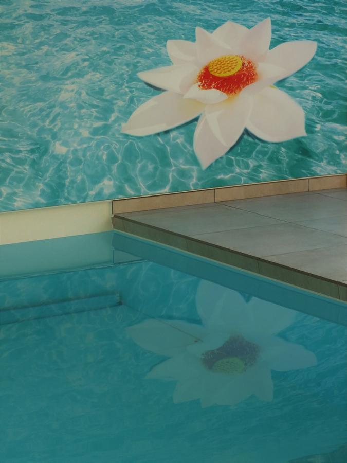 Vita Roka Met Extra Luxe Prive Wellness 于瑟尔 外观 照片